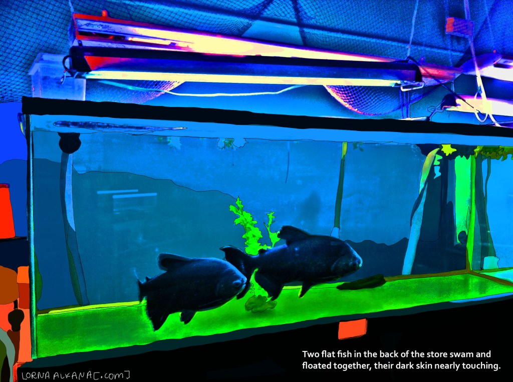 Sunset Pet & Supplies – The fish in the&nbsp;back