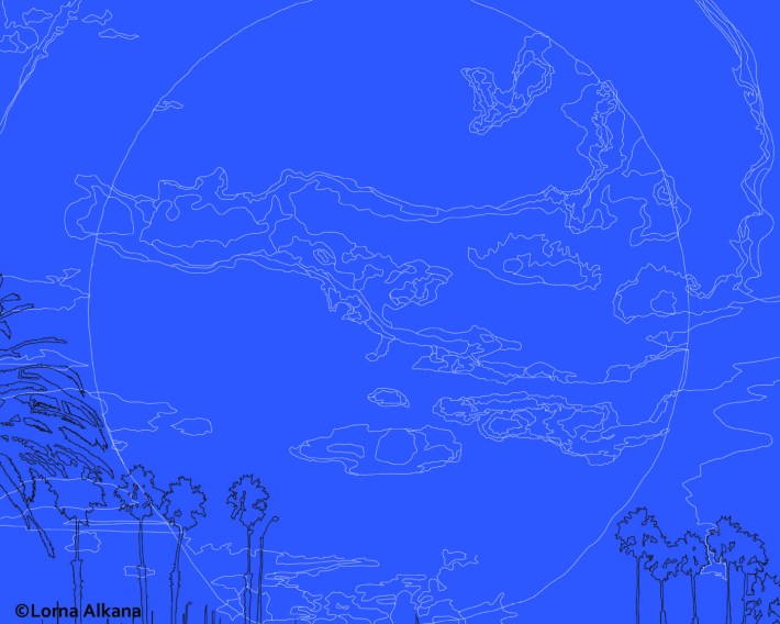 fish eye in the sky 16x20 small line drawing