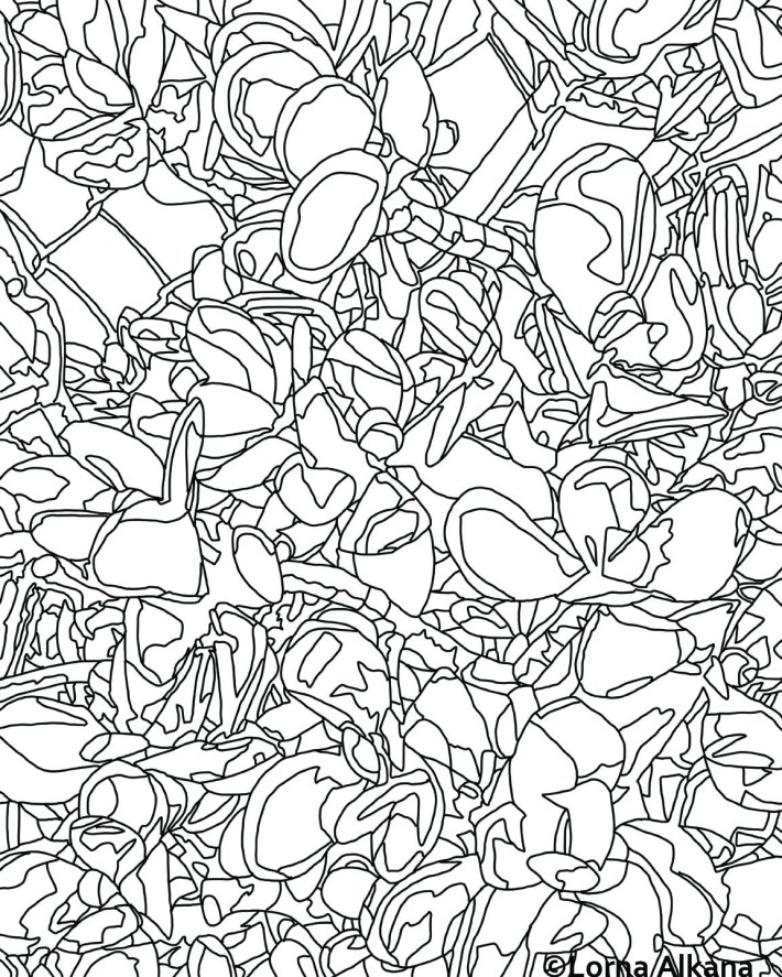 plants in la 16x20 for web lines