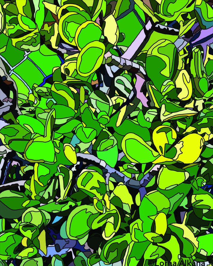 plants in la 16x20 for web