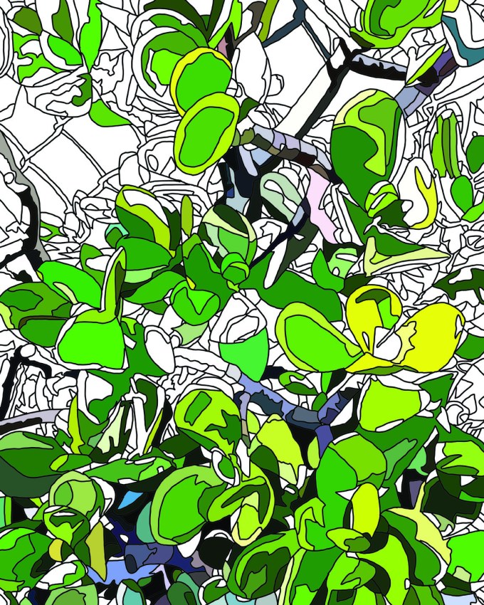 plants in process for web