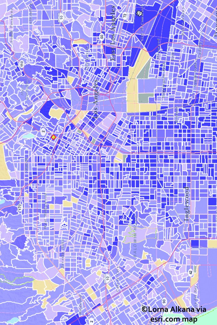self portriat map3 for web esri map
