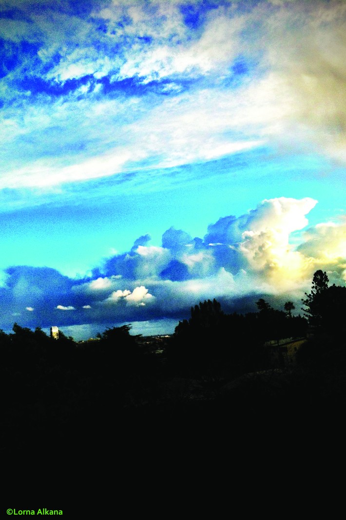 trees and houses in front of clouds and the sky 20x30 for web photo sky