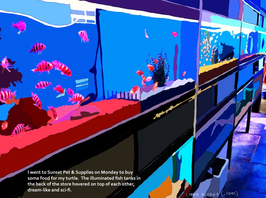 Sunset Pet and Supplies* – Mixed Media Fish&nbsp;Tanks