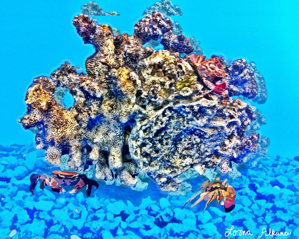 Coral and Crab&nbsp;#digitalart