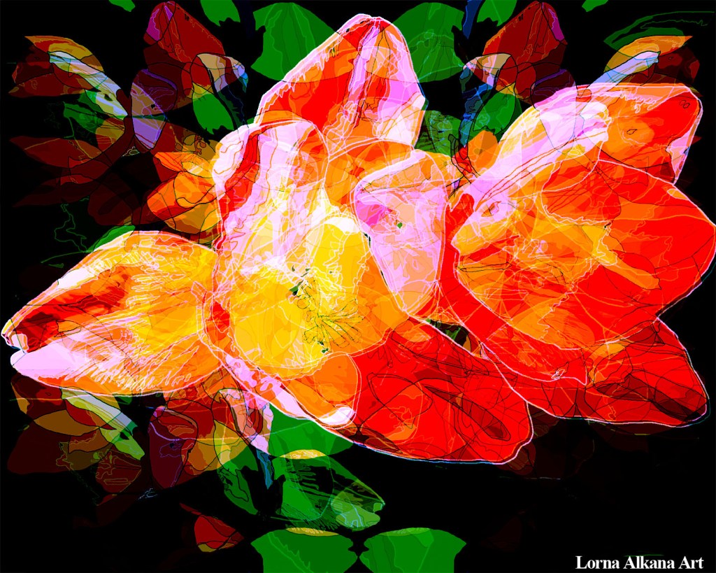 Orange and Pink&nbsp;Flower