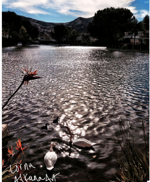 process-self-portrait-high-chin-8x10-w3