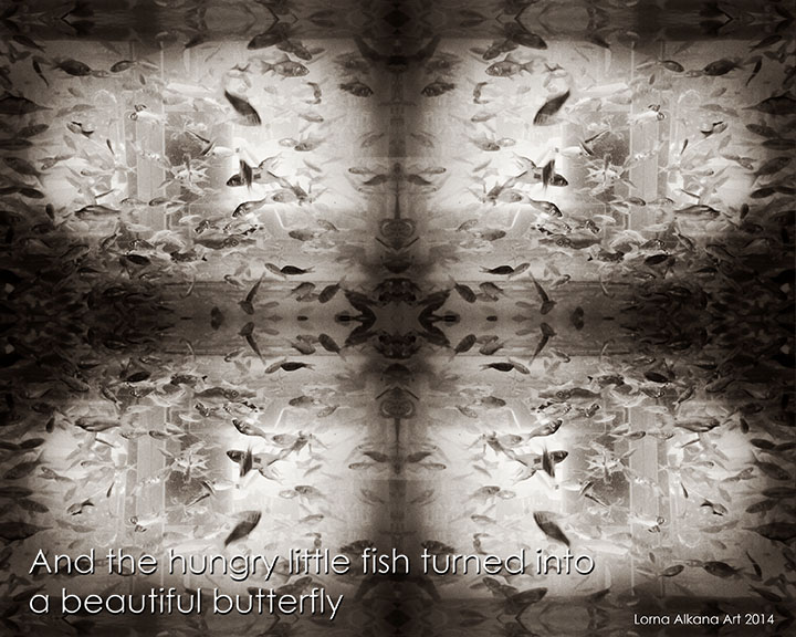 dark fish roar 8x10 w