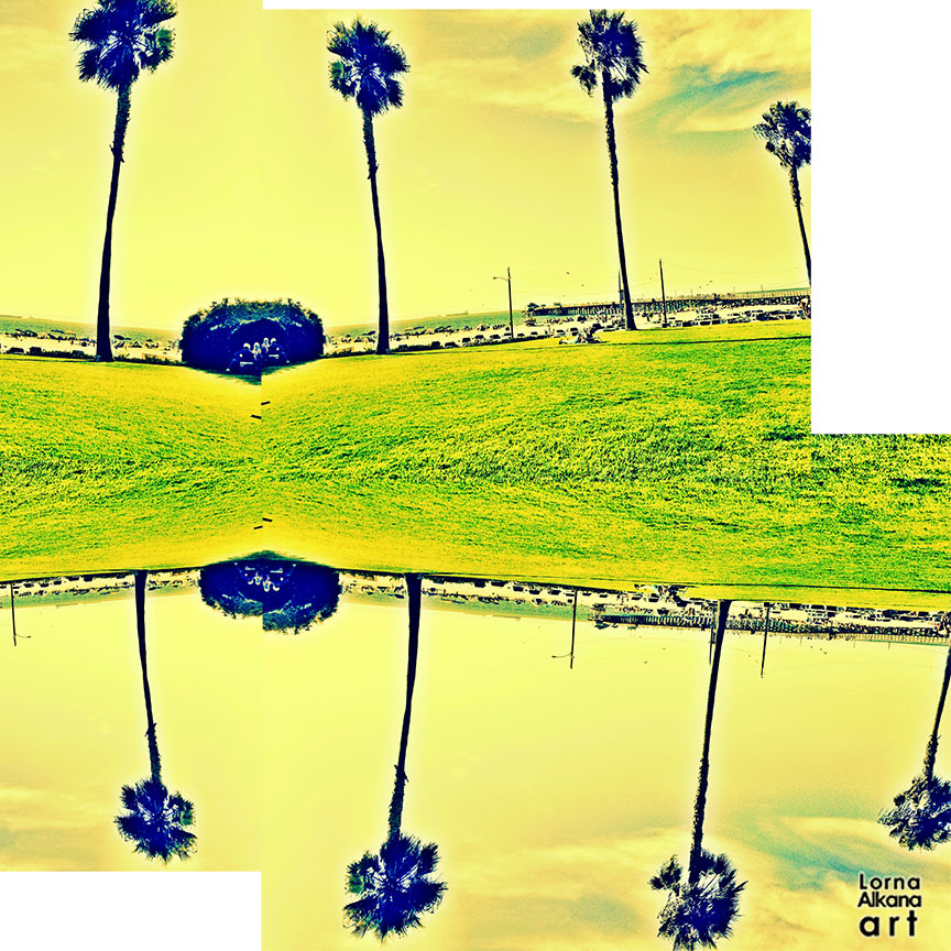 palm trees sb 12x12 w