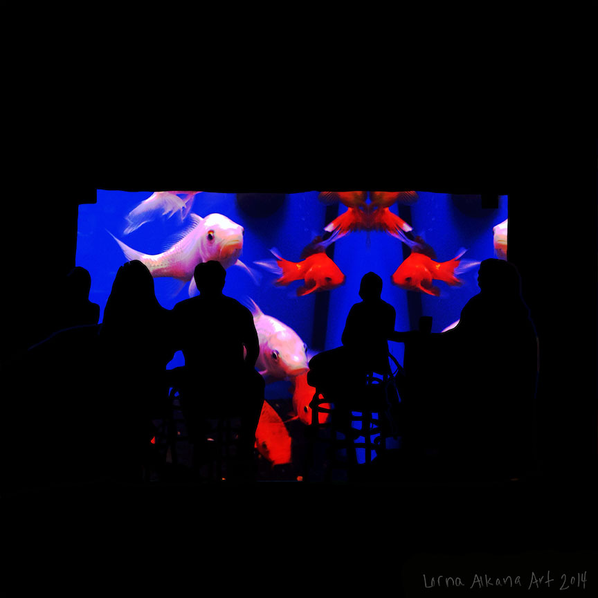 travistines 12x12 w w blue fish