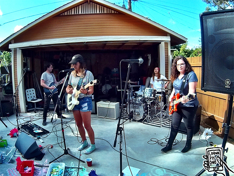 bl bbq lornaphone evidence w26