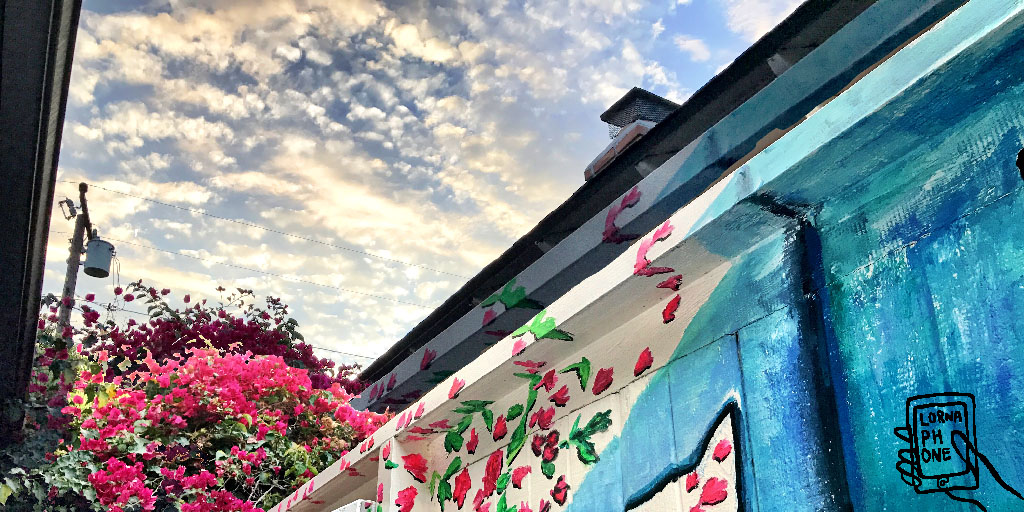 fence post cat sky lornaphone w