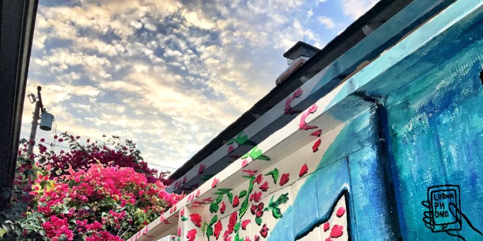 fence post cat sky lornaphone w