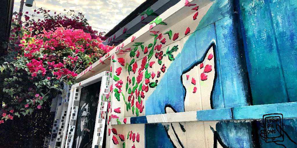 fence post cat sky lornaphone w2