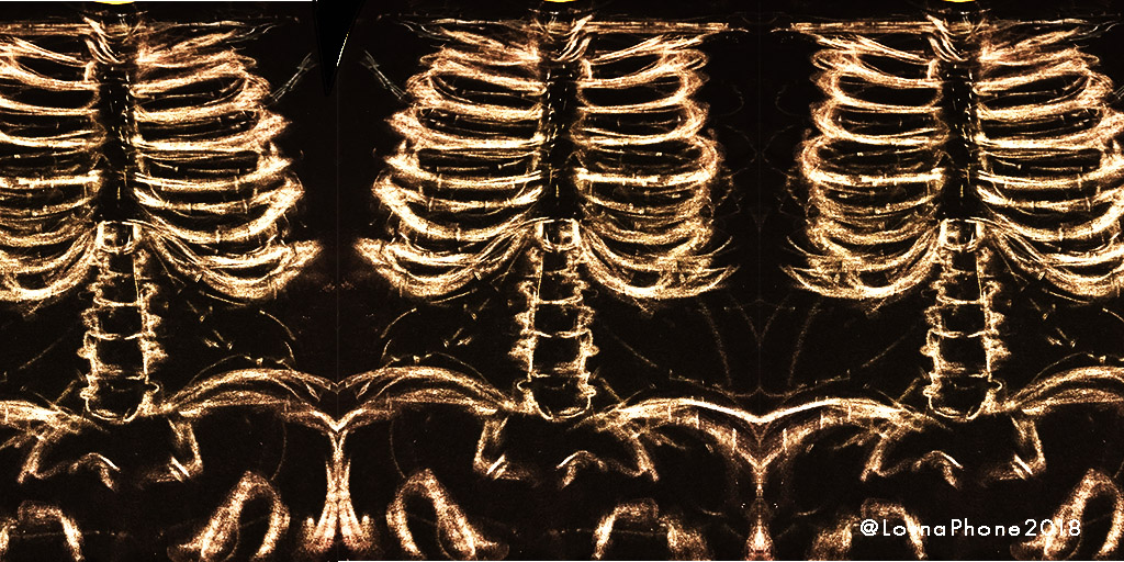 guy nshirt layout bones w