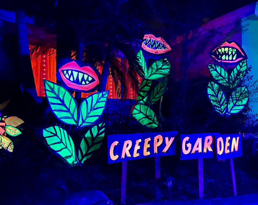 spider cat lornaphone diy cardboard art